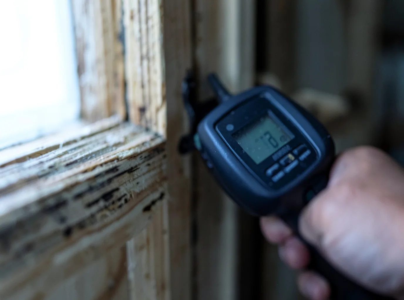 Moisture Inspection And Documentation in Elmer, LA